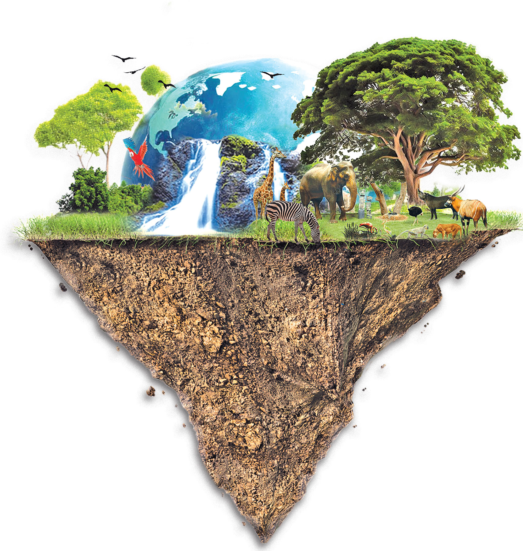 World Environment Day